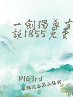 一剑独尊有声小说1855免费听