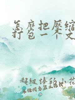 怎么把压缩文件打包一个文件夹里