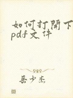 如何打开下载的pdf文件