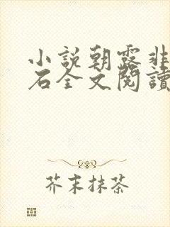 小说朝露非木非石全文阅读