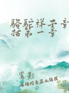 骆驼祥子章节概括第一章