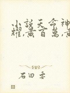 小说天命神算李耀,黄百万,黄依依