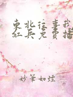 东北往事我叫赵红兵免费播放