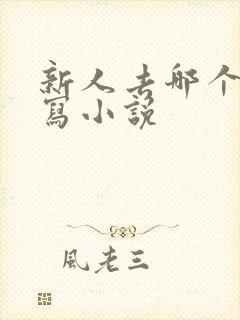 新人去哪个平台写小说