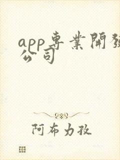 app专业开发公司