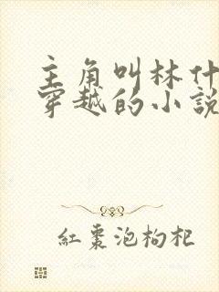 主角叫林什么的穿越的小说