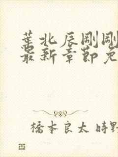 叶北辰刚刚更新最新章节免费阅读