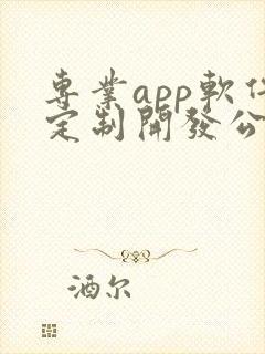 专业app软件定制开发公司