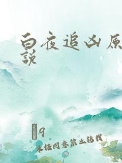 白夜追凶原著小说