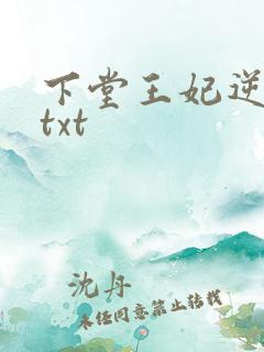 下堂王妃逆袭记txt