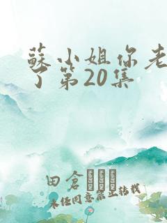 苏小姐你老公掉了第20集