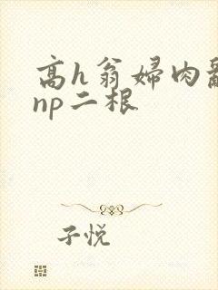 高h翁妇肉乱文np二根