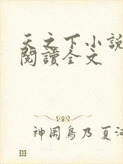 天之下小说在线阅读全文