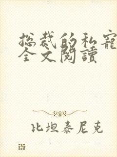 总裁的私宠甜妻全文阅读