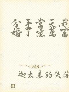 分手当天,我闪婚了亿万富豪小说免费阅读