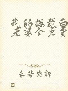 我的总裁白富美老婆全免费的小说