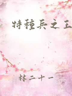 特种兵之王小说