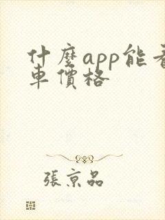 什么app能看车价格