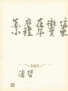 怎么在微信里面小程序卖东西