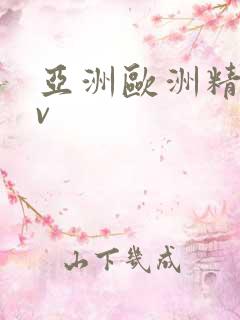 亚洲欧洲精品av