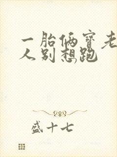 一胎俩宝老婆大人别想跑