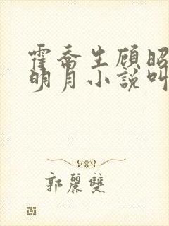 霍乔生顾昭微贺明月小说叫什么