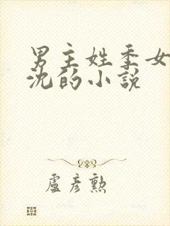 男主姓季女主姓沈的小说