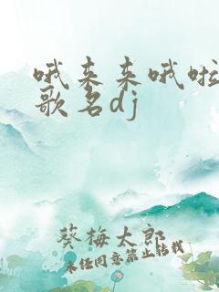 哦来来哦啦啦的歌名dj