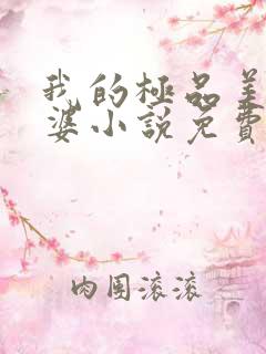 我的极品美女老婆小说免费阅读全文