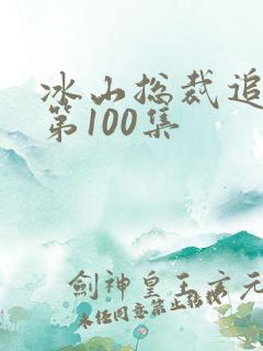 冰山总裁追妻路第100集