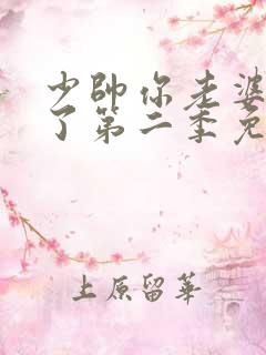 少帅你老婆又跑了第二季免费全集