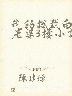 我的总裁白富美老婆3楼小说免费完整版