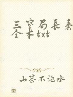 三宝局长秦守仁全本txt