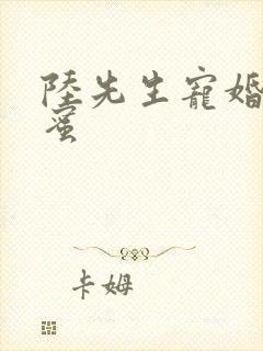 陆先生宠婚甜蜜蜜