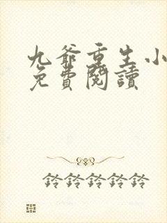 九爷重生小玫瑰免费阅读