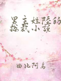 男主姓陆的霸道总裁小说