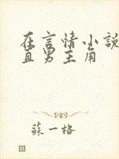 在言情小说里撩直男主角