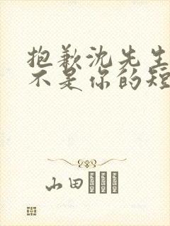 抱歉沈先生孩子不是你的短剧免费全集