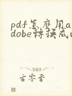 pdf怎么用adobe转换成word