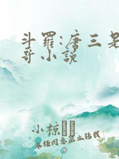 斗罗:唐三是我哥小说