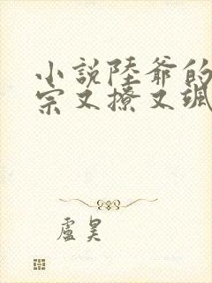 小说陆爷的小祖宗又撩又飒