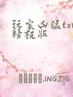 玩家凶猛txt精校版