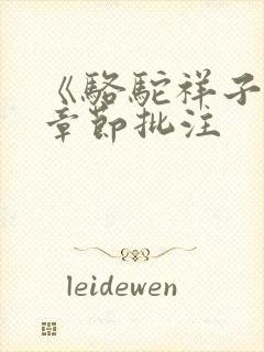 《骆驼祥子》每章节批注