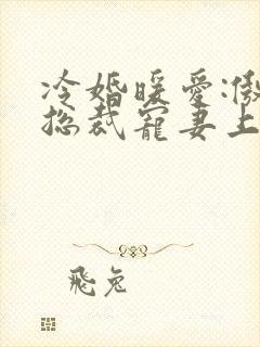 冷婚暖爱:傲娇总裁宠妻上瘾