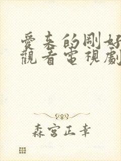 爱来的刚好免费观看电视剧全集