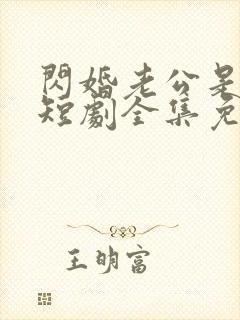 闪婚老公是首富短剧全集免费版