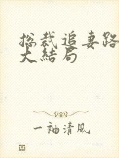 总裁追妻路漫漫大结局