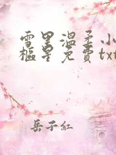 雪里温柔小说璇枢星免费txt
