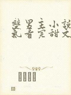 双男主小说一口气看完甜文