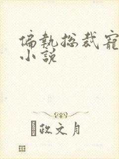 偏执总裁宠上瘾小说